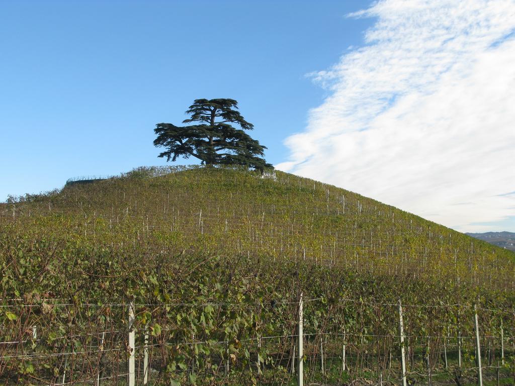 La Locanda Del Nocciolo Novello Extérieur photo