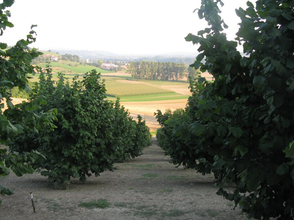 La Locanda Del Nocciolo Novello Extérieur photo